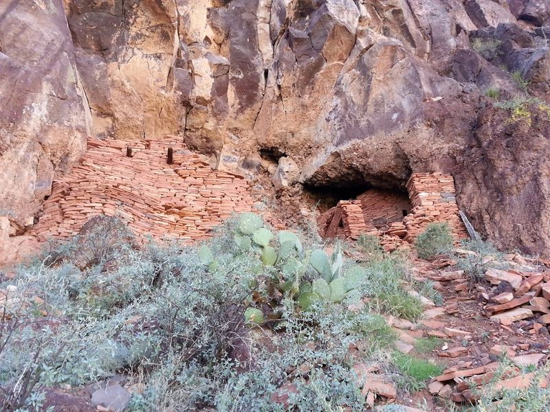 Wildlife That Calls This Canyon Home