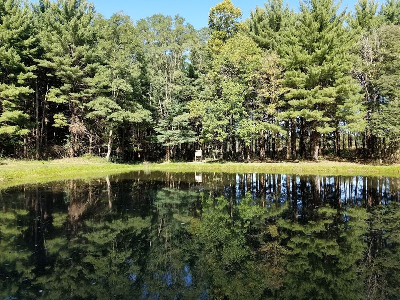Fishing Ponds That Invite You To Slow Down