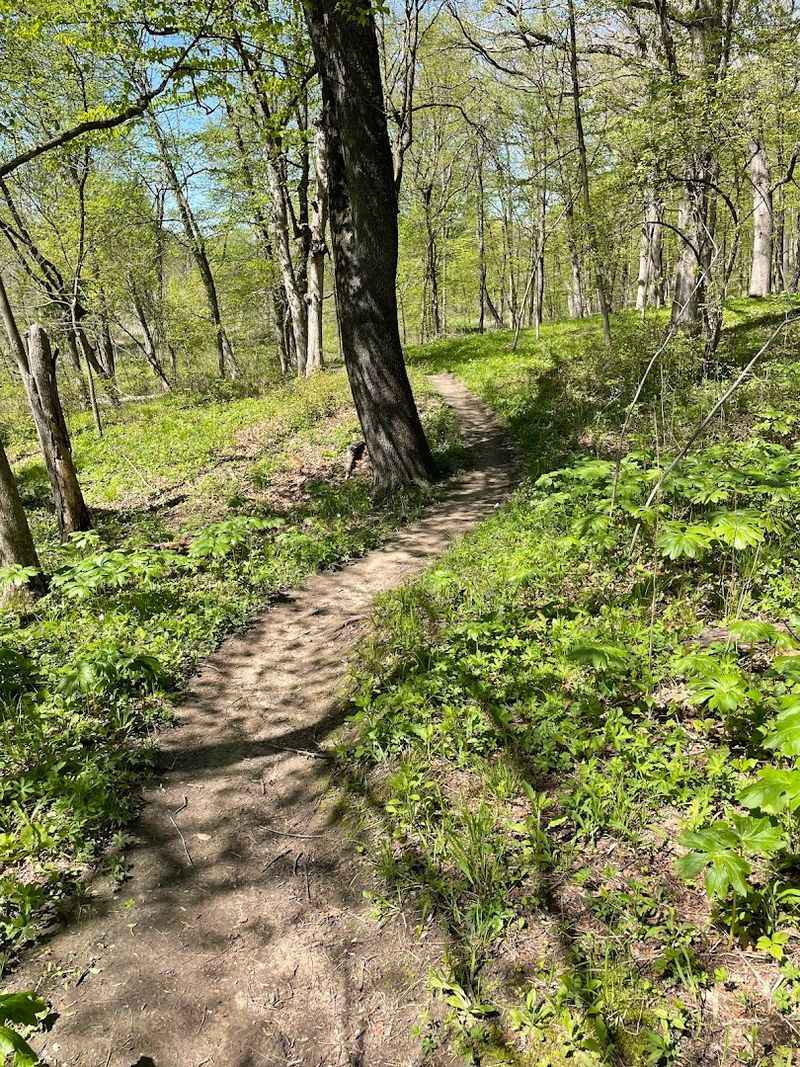 Trails For Hikers, Joggers, And Horseback Riders