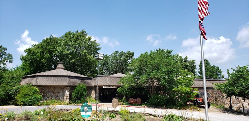 Birdsong And Morning Forest Views