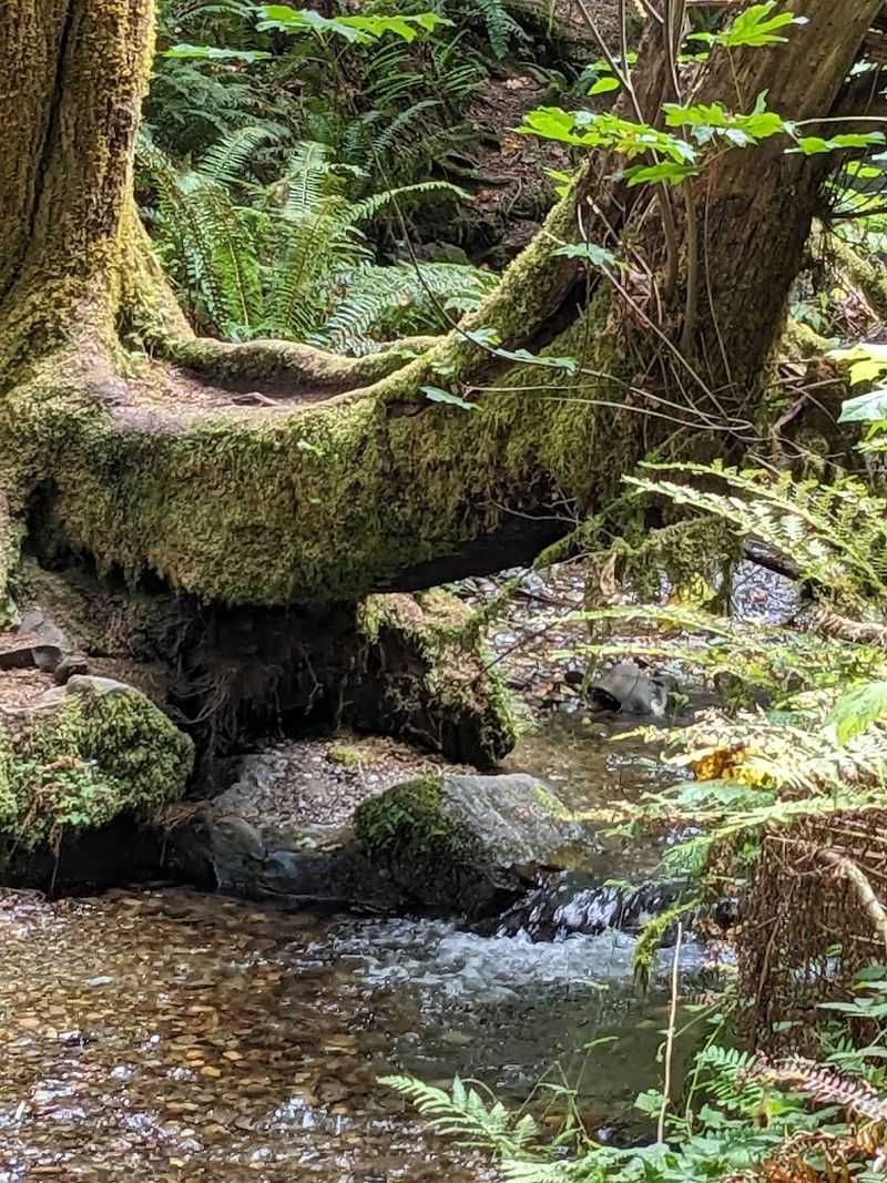 Wildlife, Views, And The Quiet Details That Make It Special