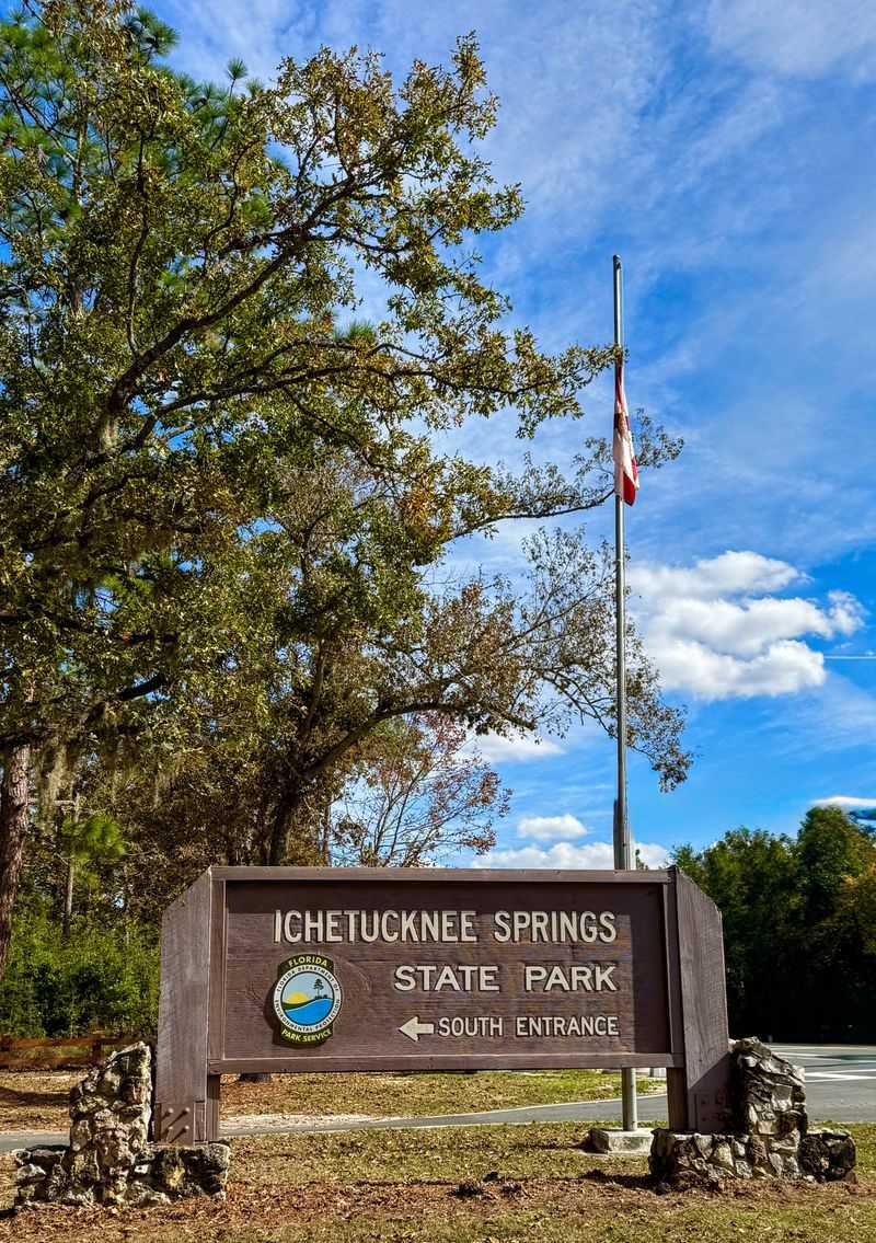 Trails Under The Pines