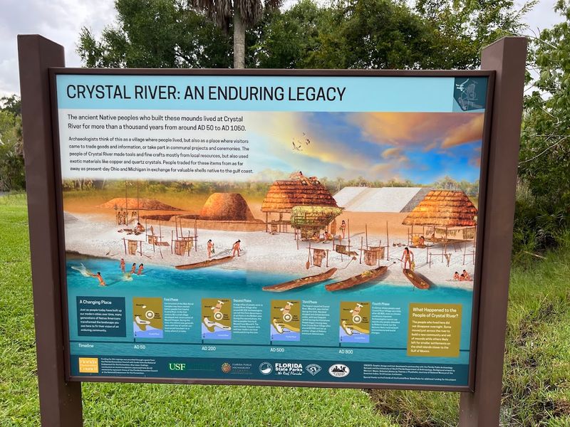 Educational Programs That Bring History Alive