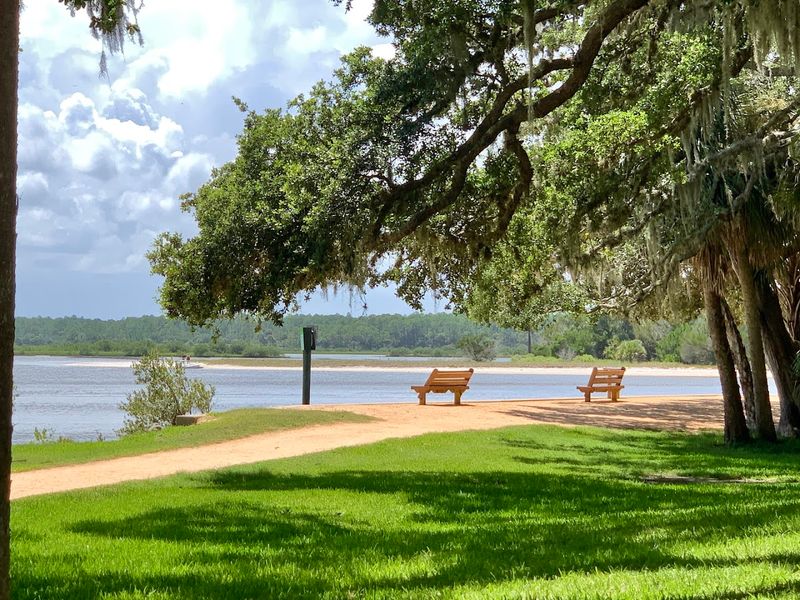 Wildlife Watching Along The Matanzas River