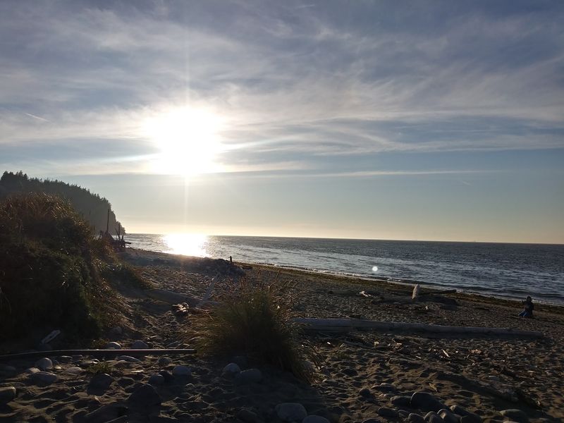 Wildlife Watching And Beachcombing