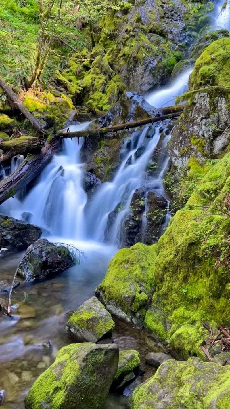 Historic Hamilton Mountain Loop