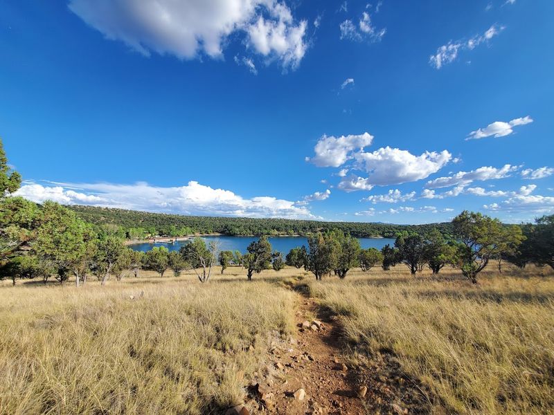 Wildlife Watching Around The Lake And Hills