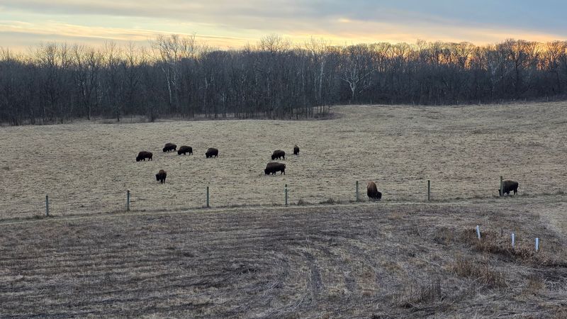 Every Season Brings A Completely Different Version Of This Park