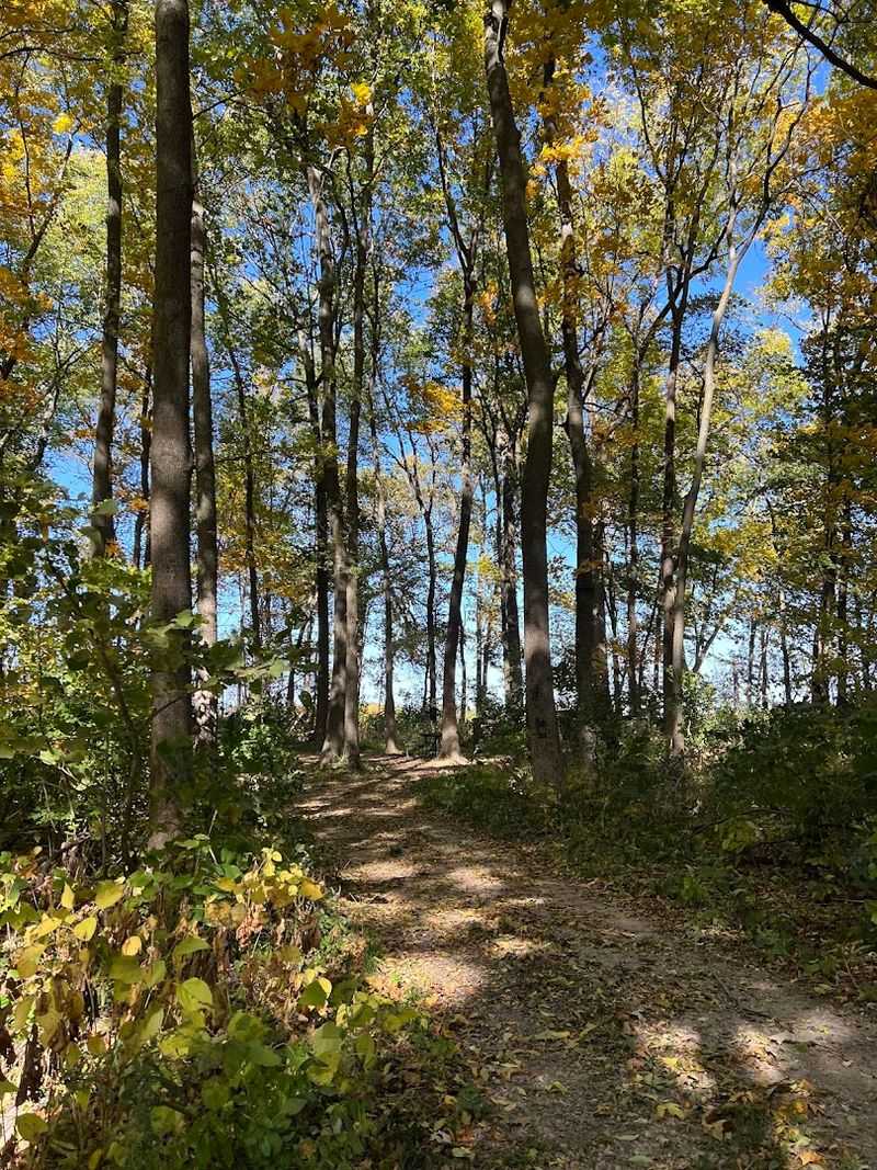 Hiking Trails That Respect Your Time