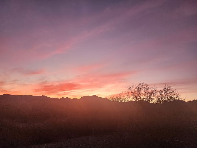 Camping Under The Desert Stars