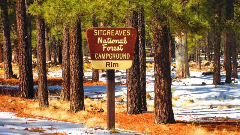 Hiking Trails Along The Drive