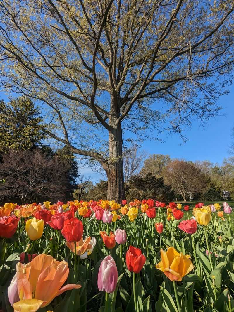 Perfect Photo Opportunities at Every Turn