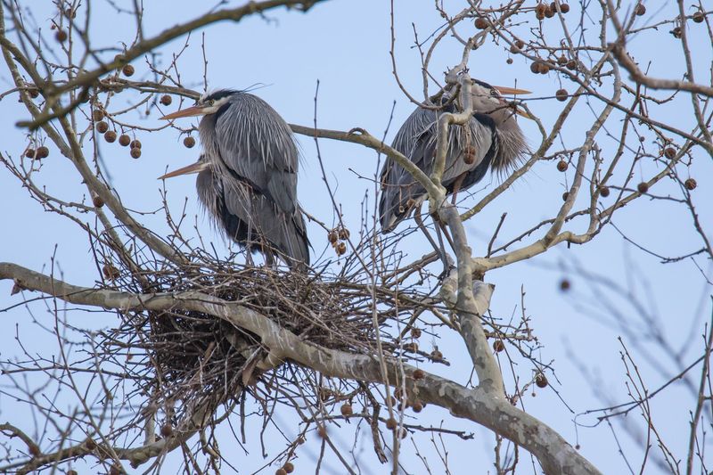 Wildlife Watching That Surprises Every Time