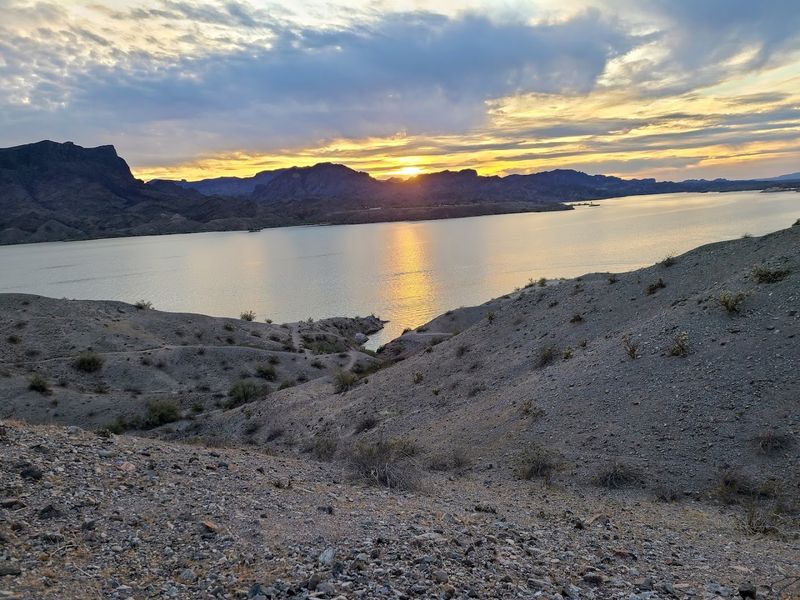 The Dog-Friendly Setup That Pet Owners Love