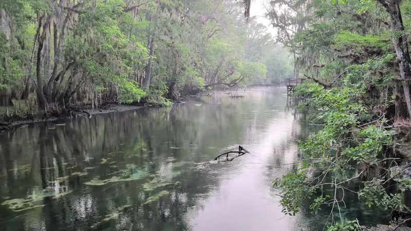 Hiking And Biking The Park Trails