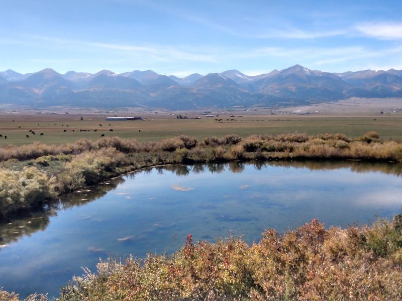 Wildlife Watching: Where the Animals Have Not Gotten the Memo About Crowds