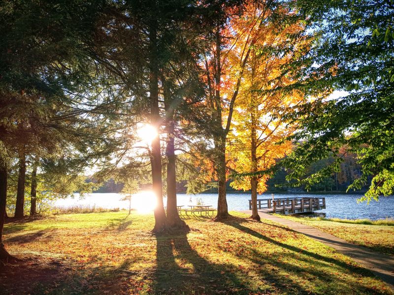 Pavilions Perfect for Family Reunions