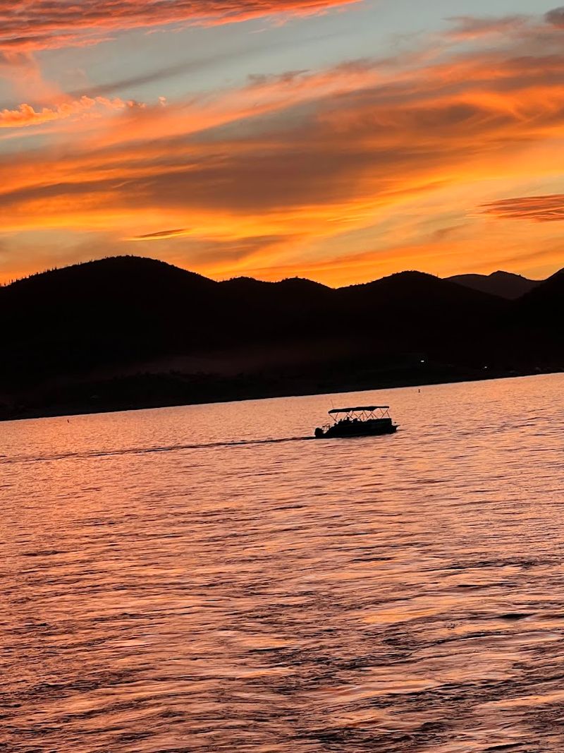 Wildlife, Water, And The Wild Arizona Landscape Wildlife, Water, And The Wild Arizona Landscape