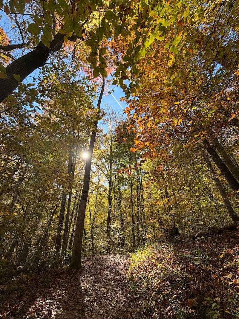 The Best Seasons To Experience The Landscape