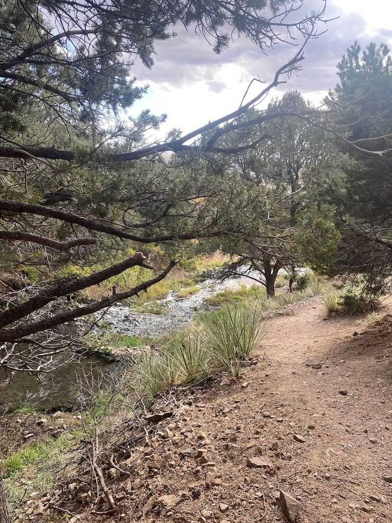 Wildlife, Wildflowers, and the Trails Between Them