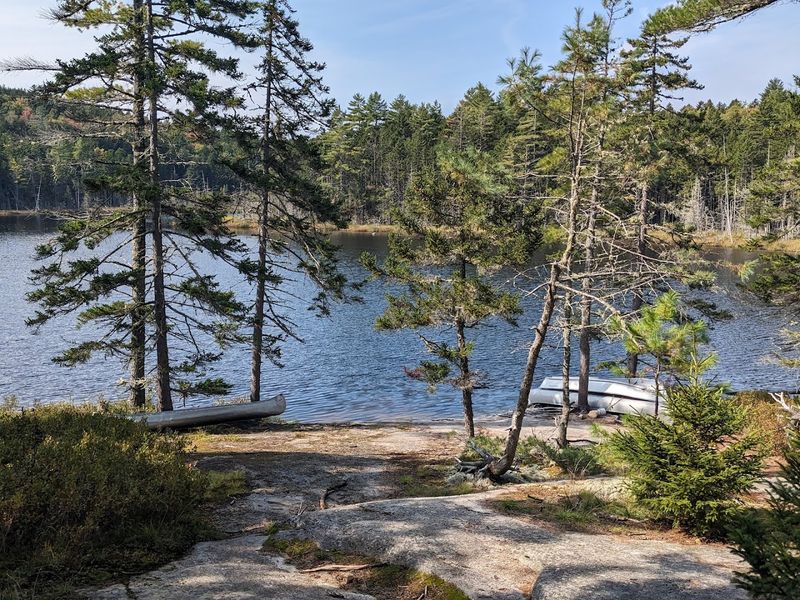 Wildlife Without The Crowds