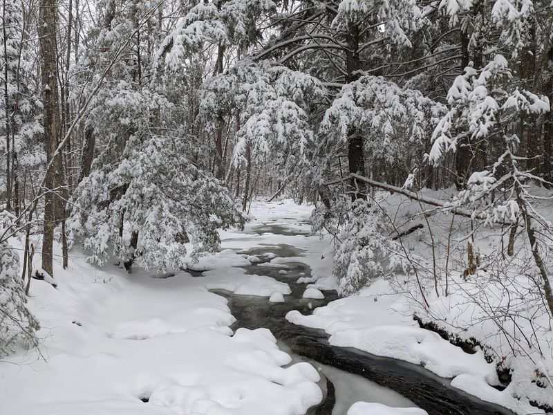 Winter Adventures In The Snow