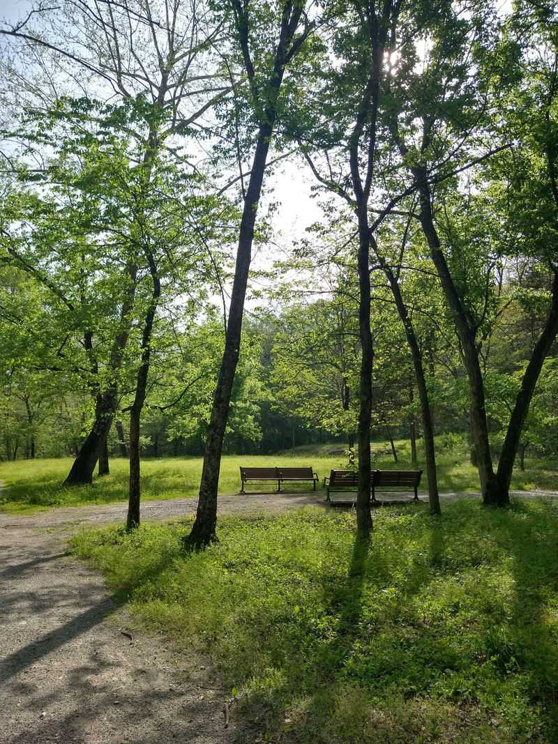 Tips For Making The Most Of Your Visit