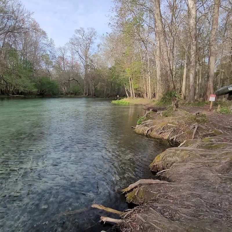 Practical Tips for Making the Most of Your Visit