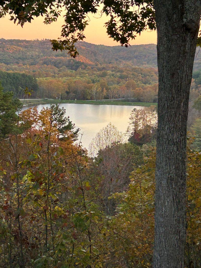 Seasonal Transformations Worth Witnessing