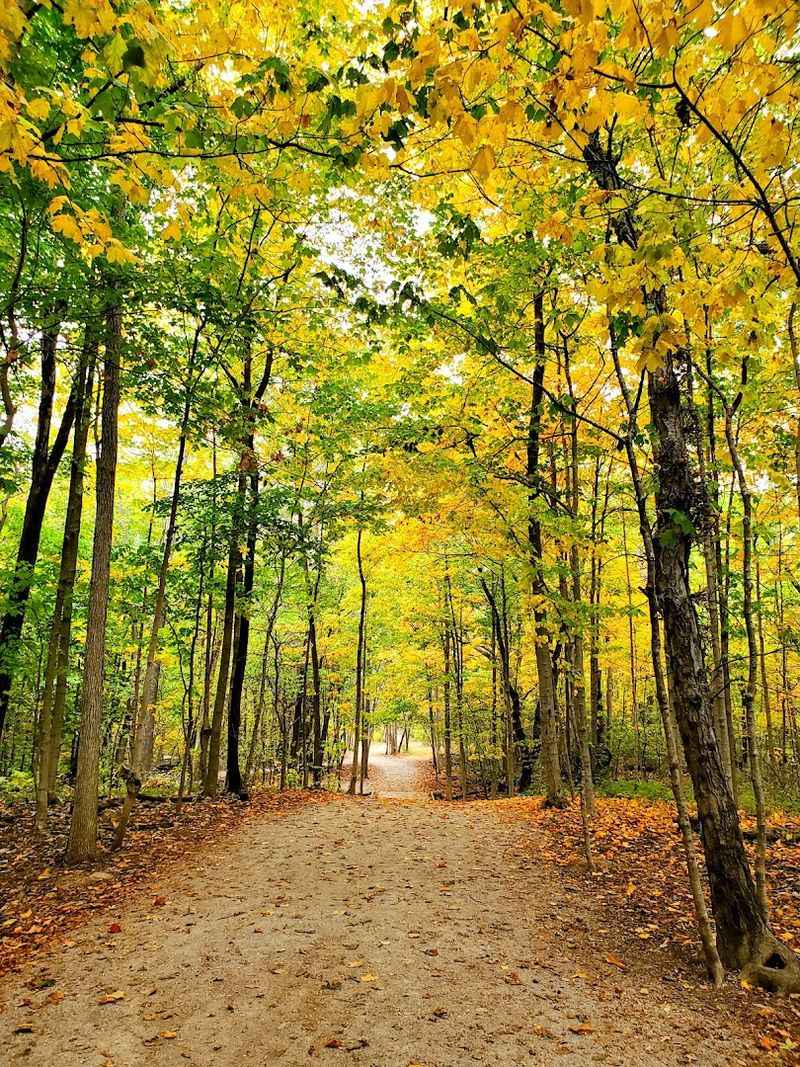 Wildlife and Nature Encounters Along the Way