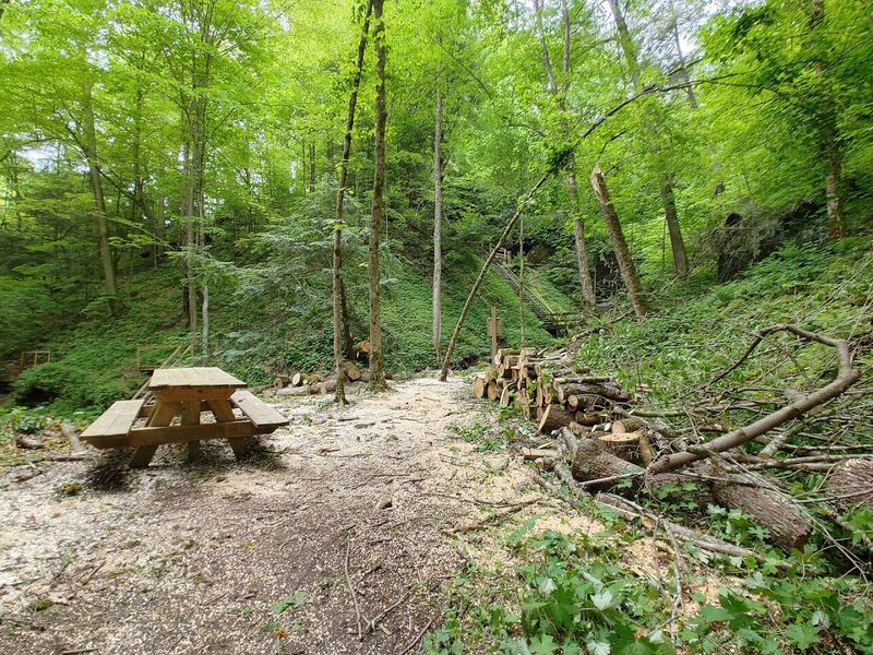 Family-Friendly Features Beyond the Trail