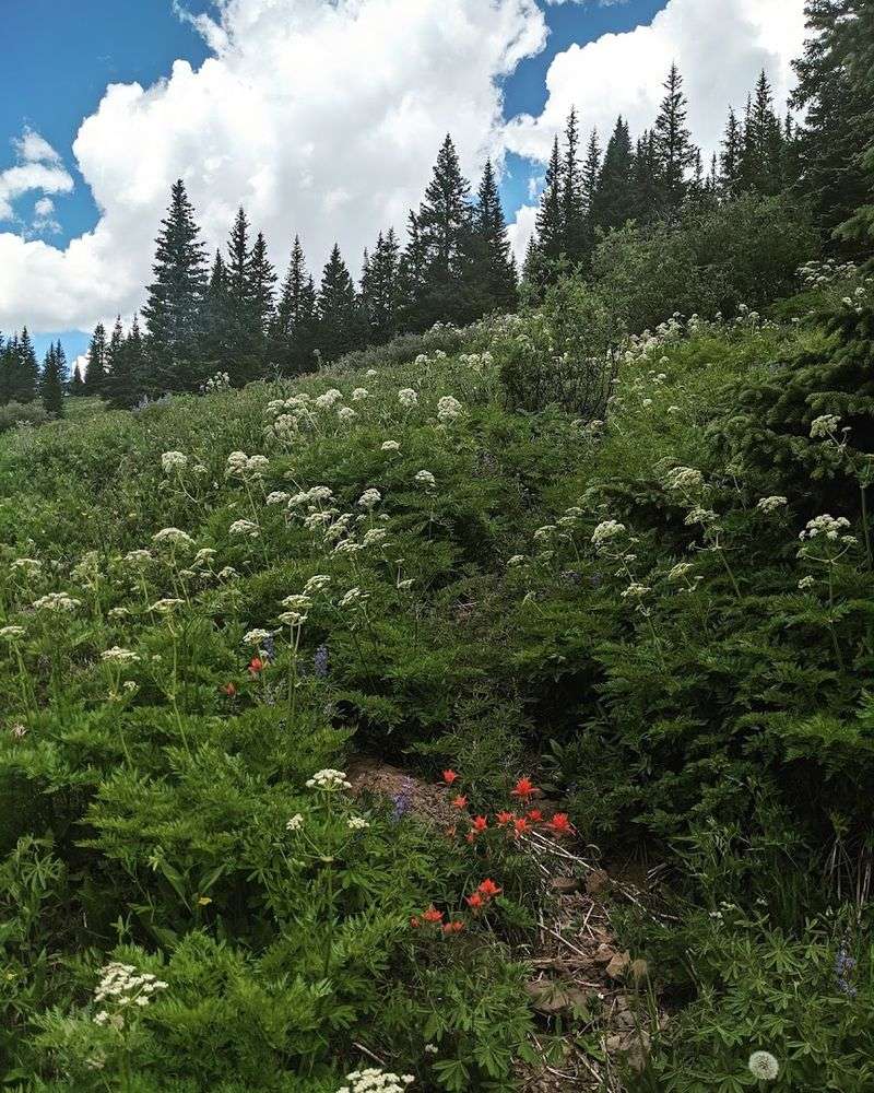 Bug Season Is Real and Here Is How to Handle It