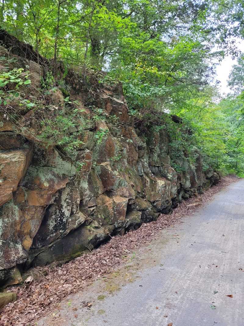 Practical tips: surface, gear, and accessibility