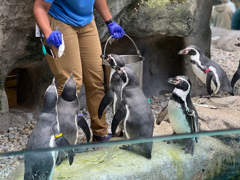 Tips for Making the Most of Your Visit