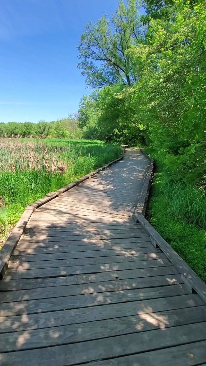 Wildwood Park Boardwalks, Harrisburg, Pennsylvania