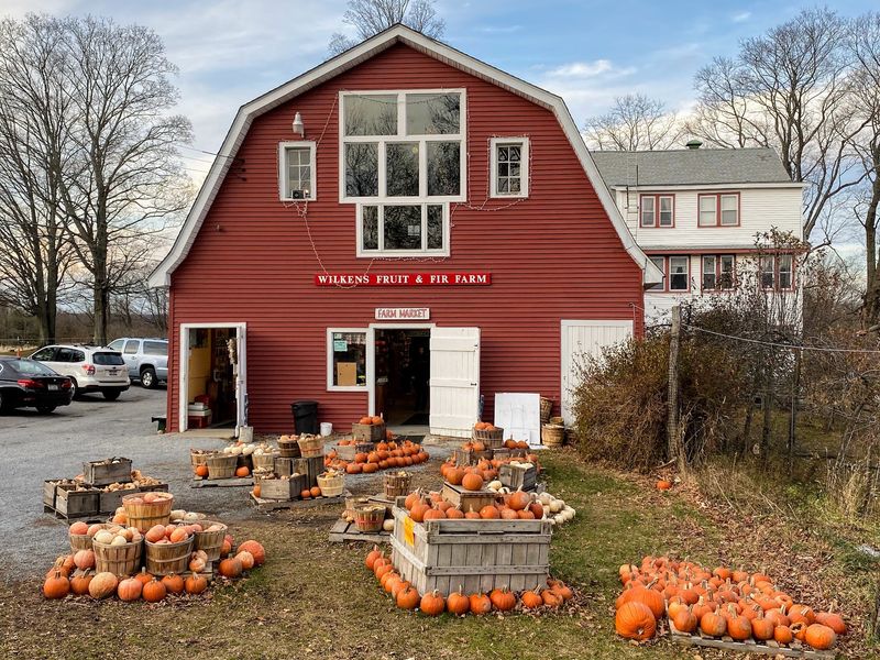 Wilkens Fruit & Fir Farm Wilkens Fruit & Fir Farm