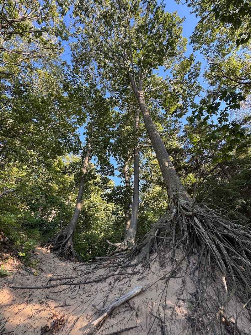 Van Buren State Park, South Haven