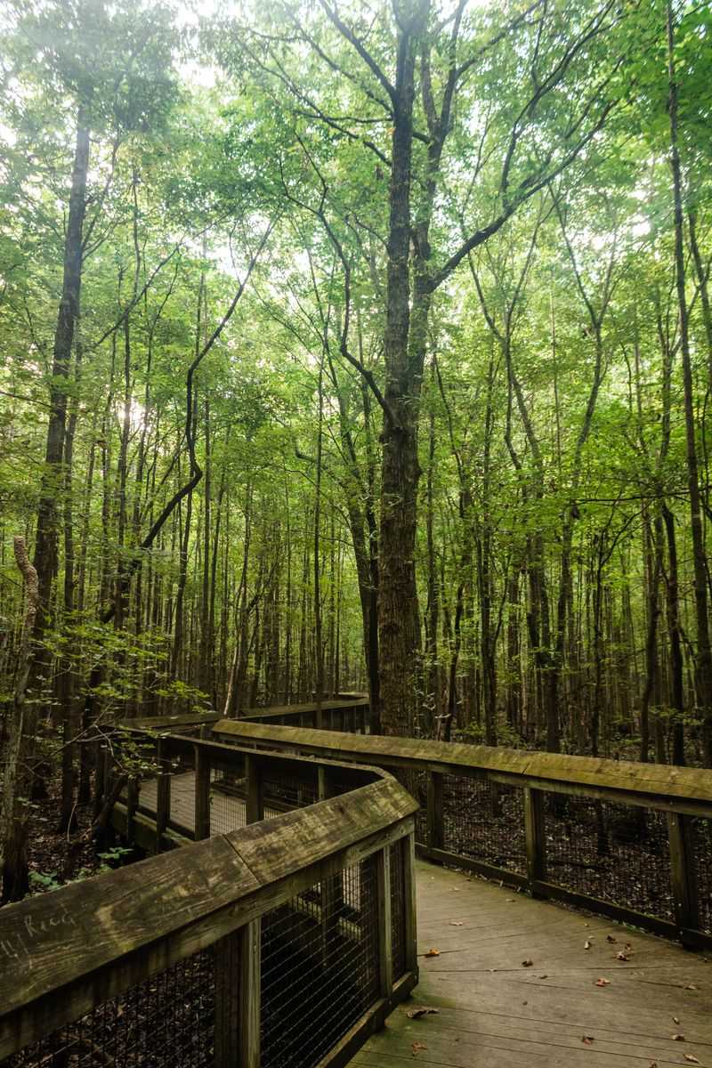 Louisiana Purchase Boardwalk Trail, Brinkley