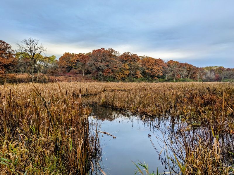 William O'Brien State Park