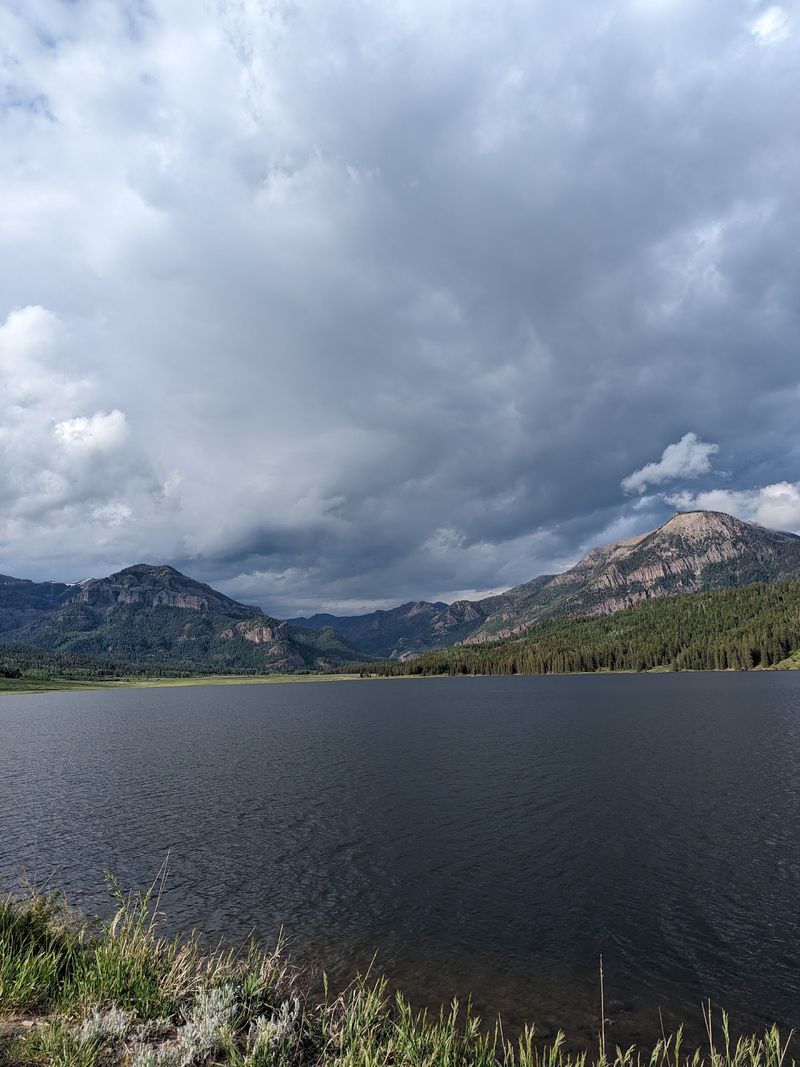 Williams Creek Campground - Pagosa Springs Area