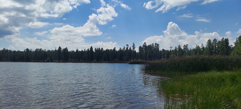 Williams Ranger District, Kaibab National Forest, Arizona
