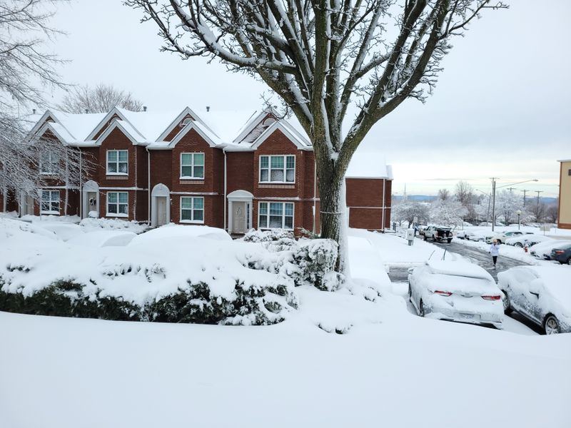 Vienna — Winter Walk of Lights