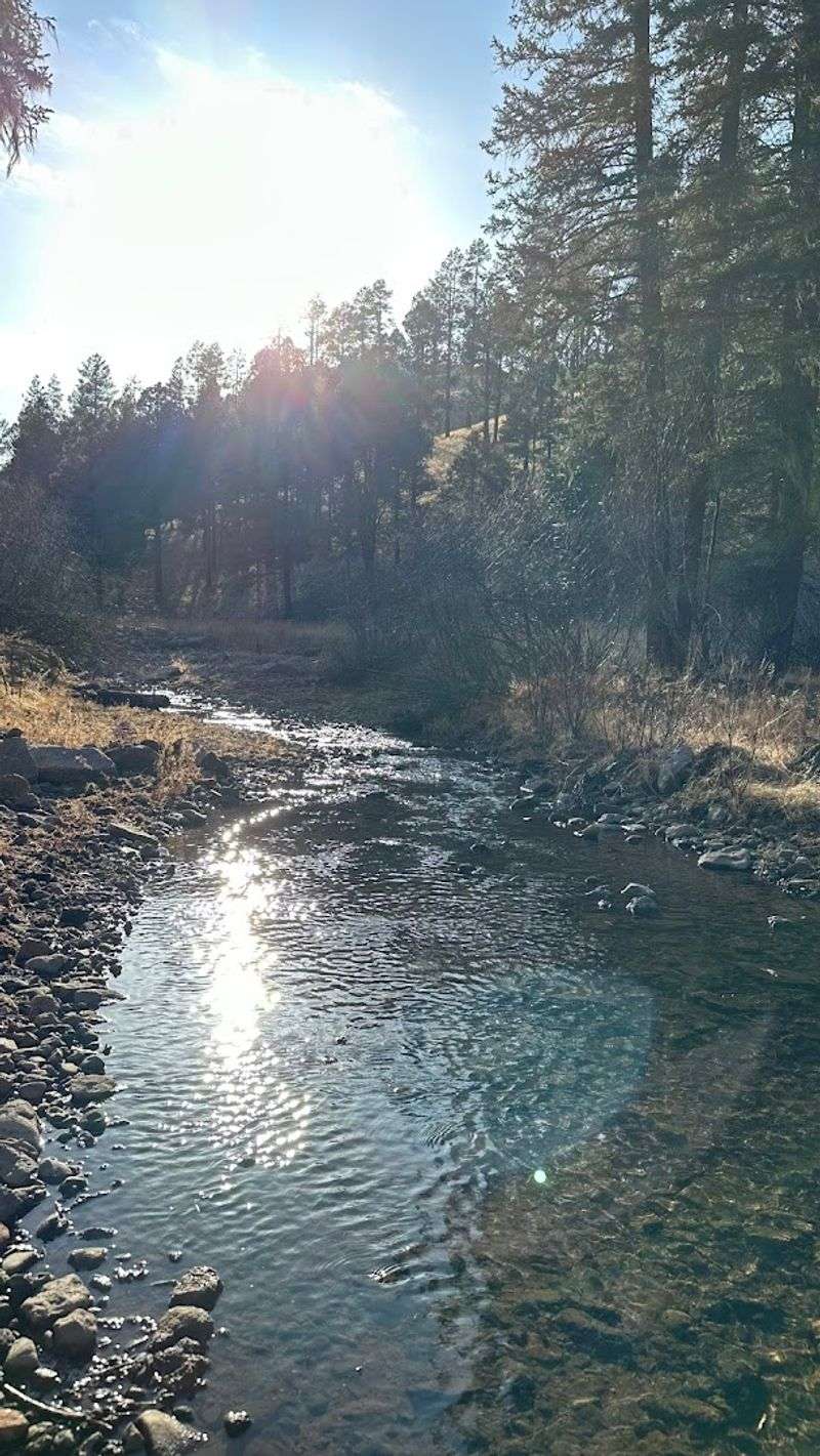 Willow Creek Campground
