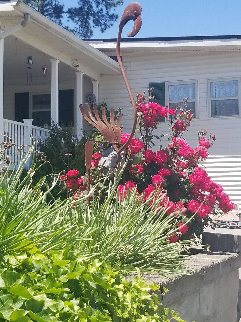 Cypress Springs Restaurant — New Concord