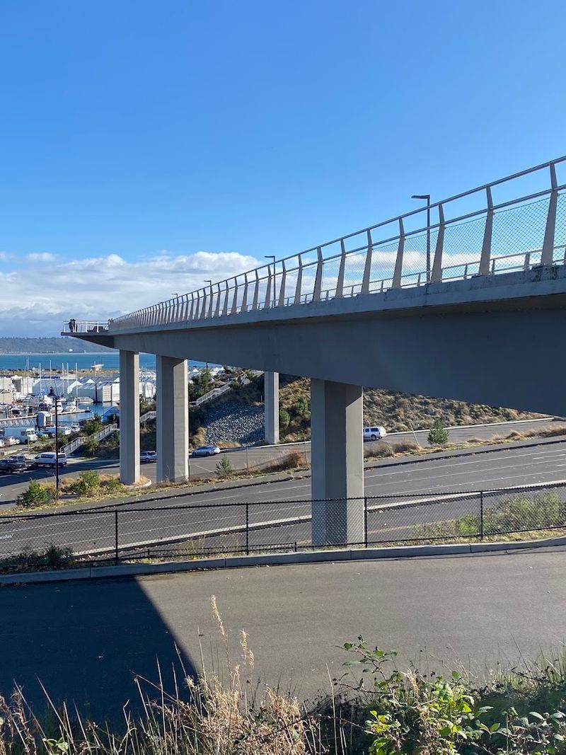 Wilson Way Bridge: The Moment