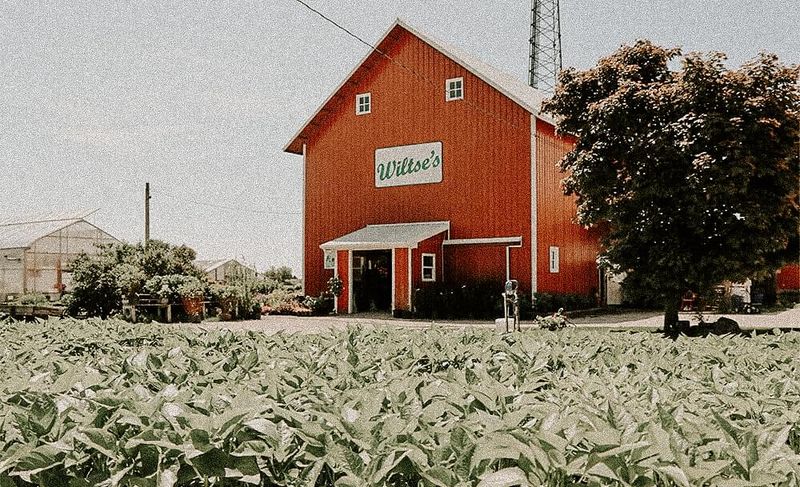Wiltse's Farm Produce (Maple Park)
