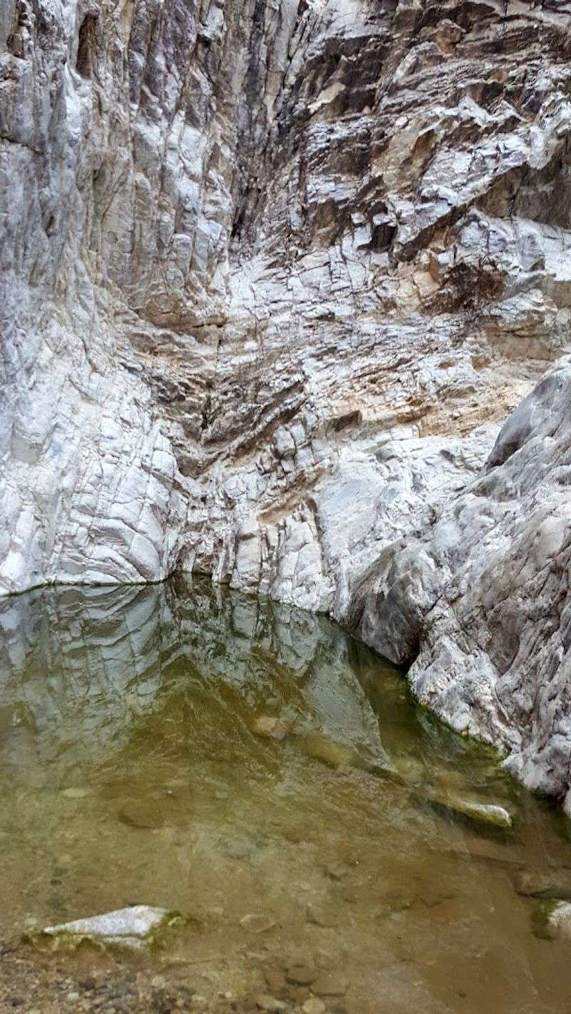 Waterfall Trail, White Tank Mountain Regional Park