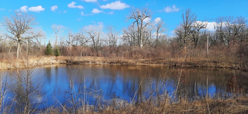 Florsheim Nature Preserve, Lincolnshire