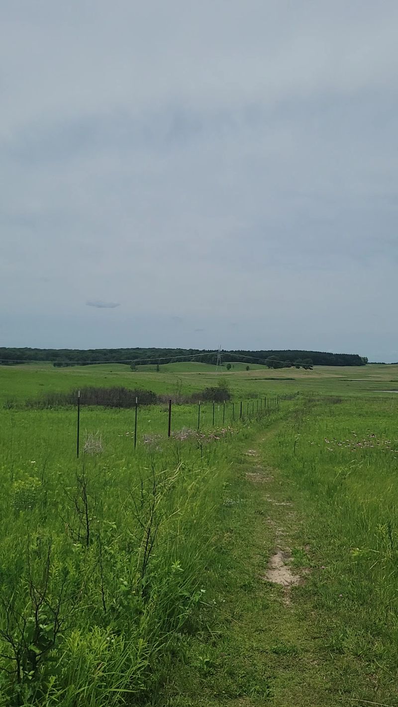 Winding Grass Trails And Gentle Slopes