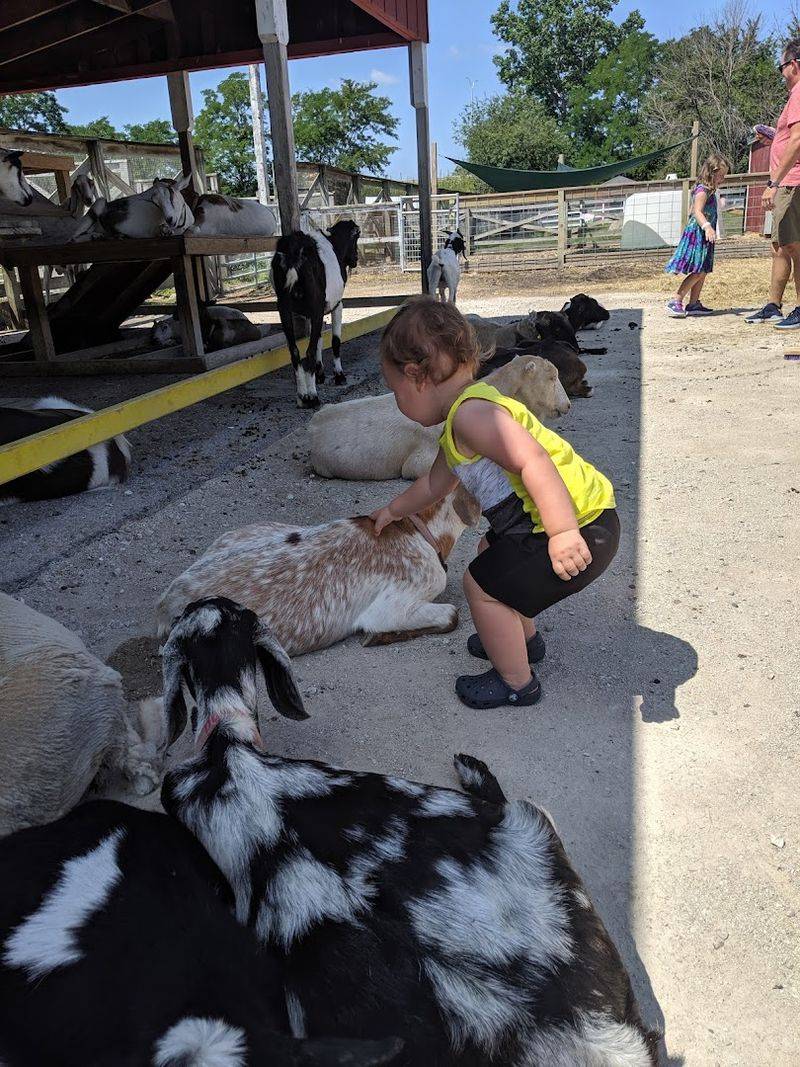 Lambs Farm Farmyard, Libertyville